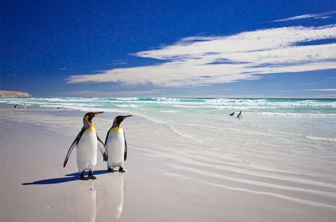 Falkland-Point