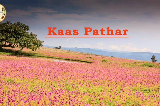 Kas-Pathar